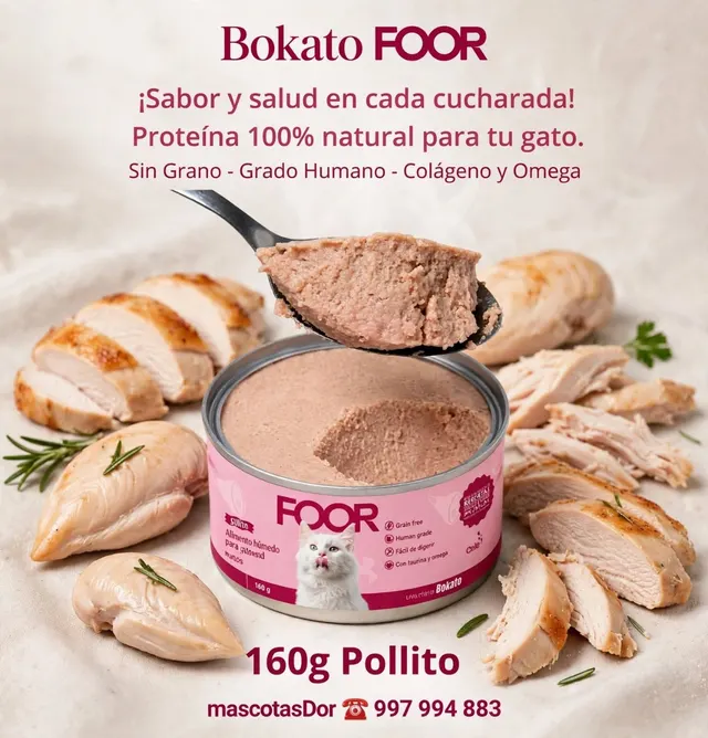 Alimento Húmedo Gatos Pollito 18 Latas de 160g