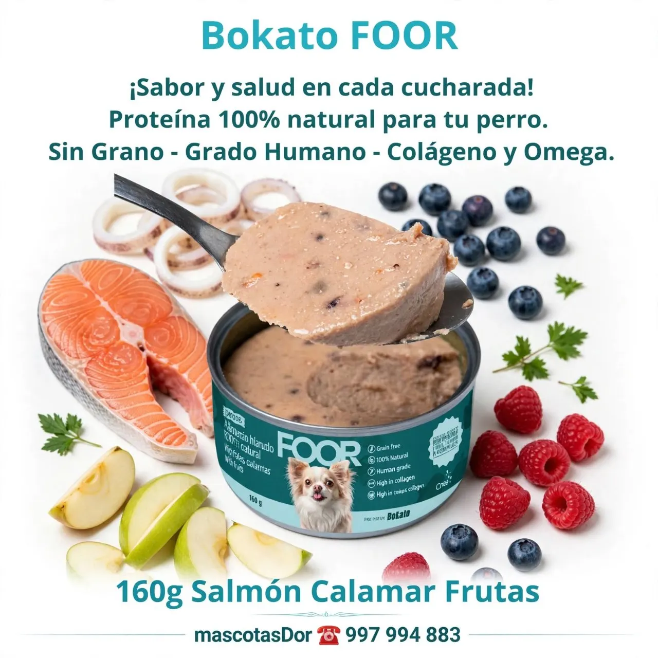 Alimento Húmedo Perros Salmón Calamar Frutas 18 Latas de 160g